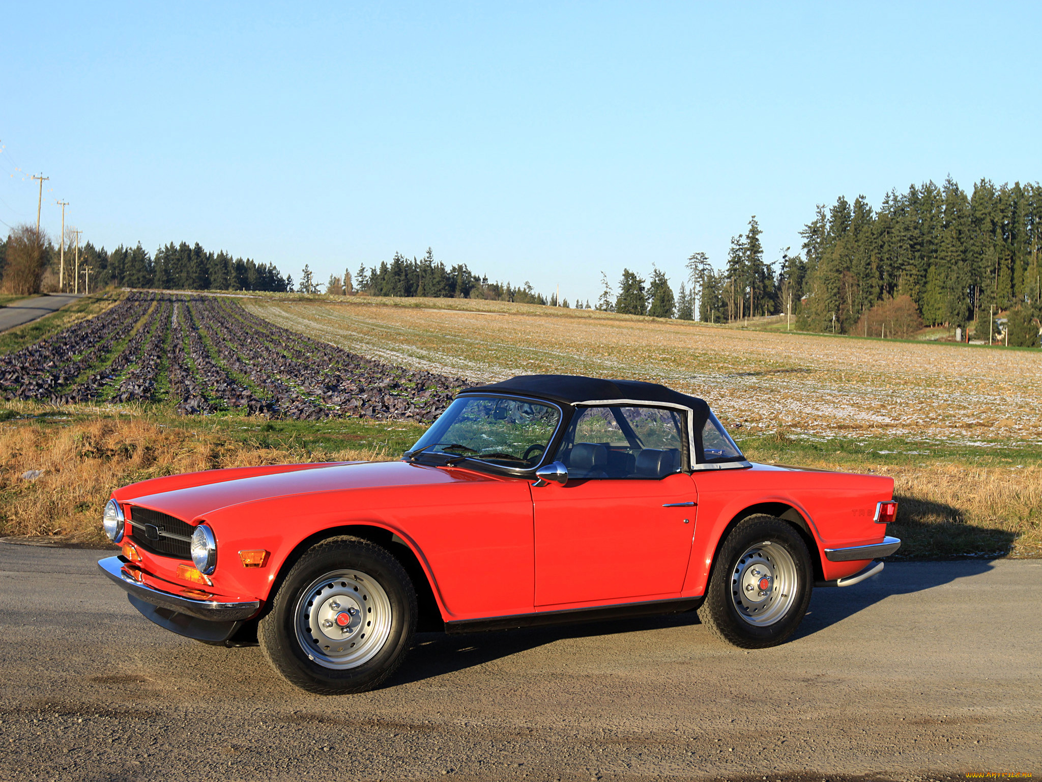 , triumph, tr6